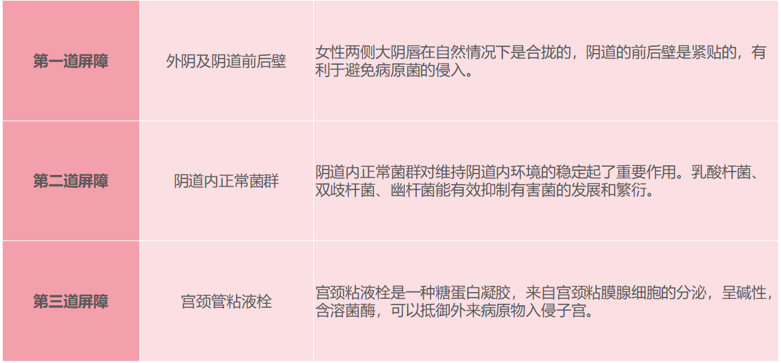 2-21102P9364X04.png