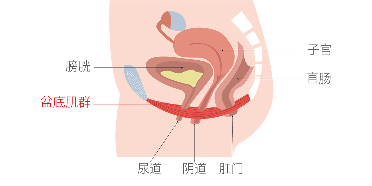 产后便秘的原因有哪些？6招帮你轻松缓解