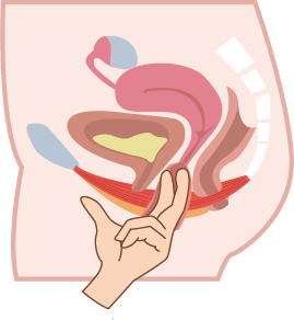 6.png 6.png