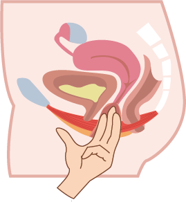 7.png 7.png