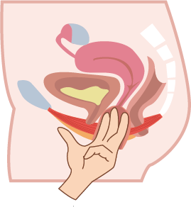 8.png 8.png