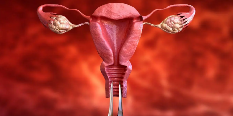 盆腔器官脱垂（无症状、阴道前壁脱垂、阴道后壁脱垂、子宫脱垂）的特征与应对方法