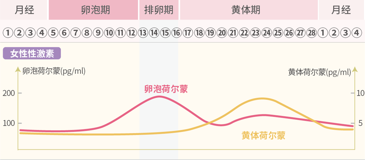 盆底肌康复会不会引起月经异常？月经异常还能做康复吗？