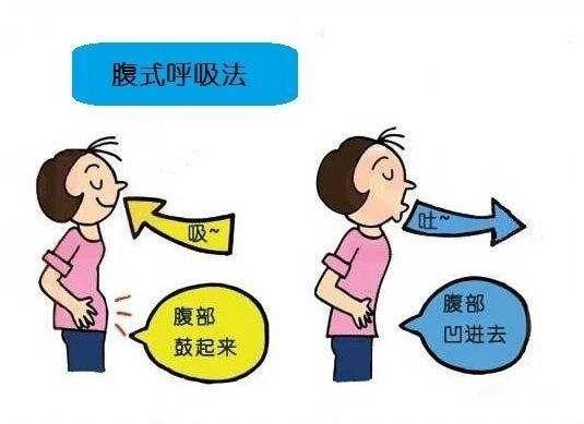 如何在家做腹直肌分离训练?(图1) 如何在家做腹直肌分离训练?(图1)