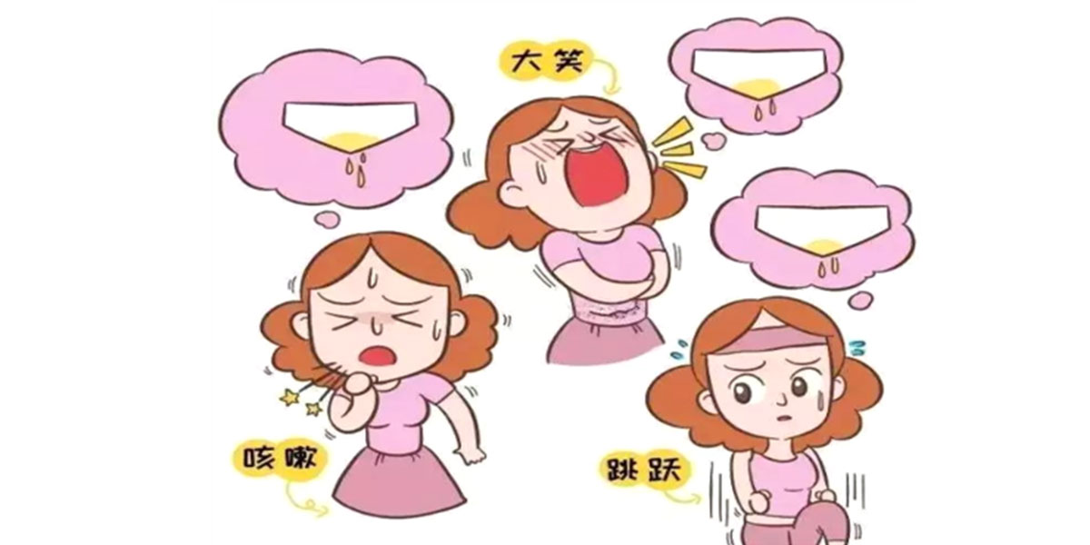 盆底肌的作用是什么呢?(图1) 盆底肌的作用是什么呢?(图1)