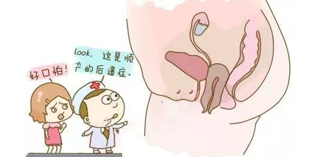 盆底肌的作用是什么呢?(图3) 盆底肌的作用是什么呢?(图3)