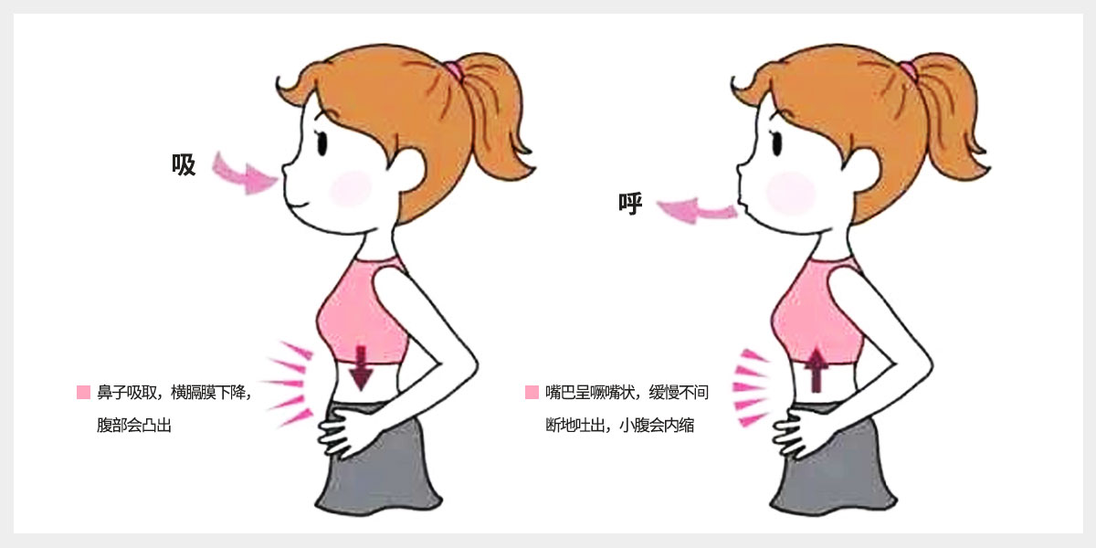 腹直肌分离如何纠正?(图3) 腹直肌分离如何纠正?(图3)