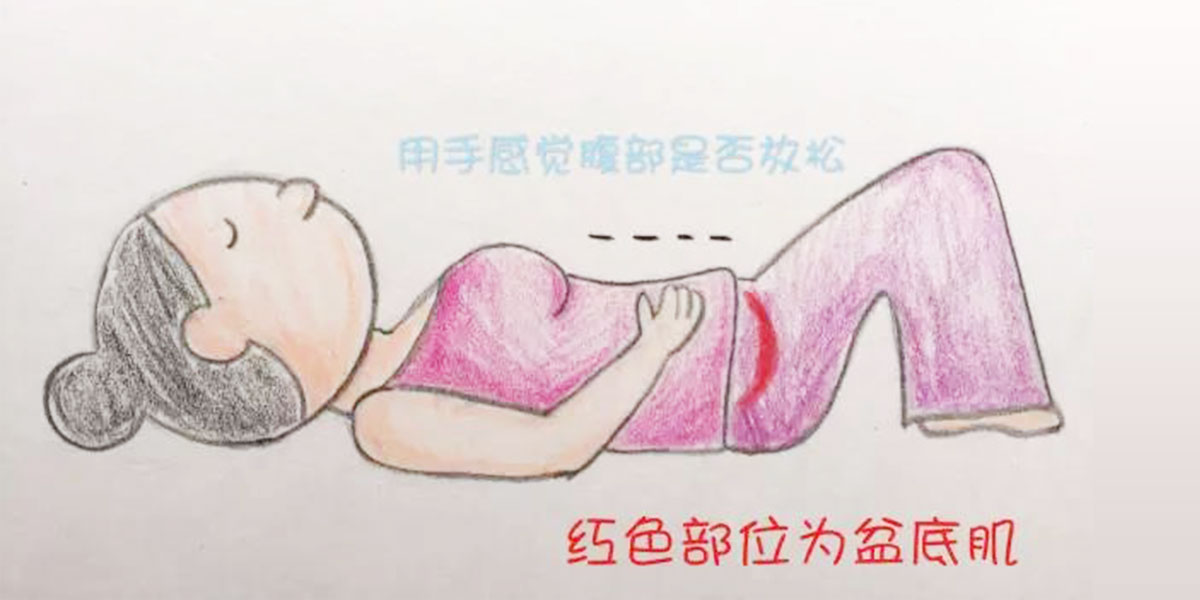 如何不让腹部参与盆底肌训练(图3) 如何不让腹部参与盆底肌训练(图3)