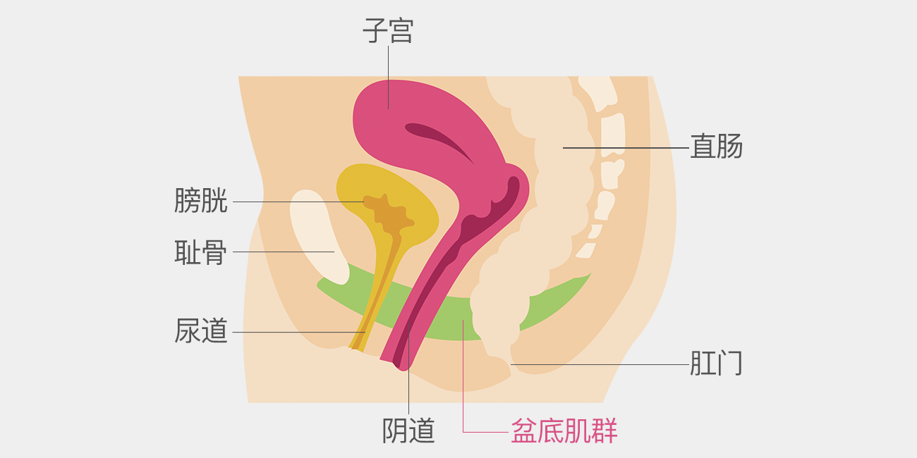 产后盆底修复的最佳治疗时间,千万不要因为错过而后悔不已) 产后盆底修复
