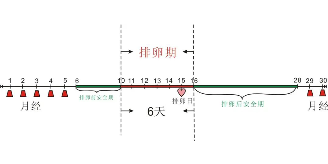 2-210P9113540X4.png